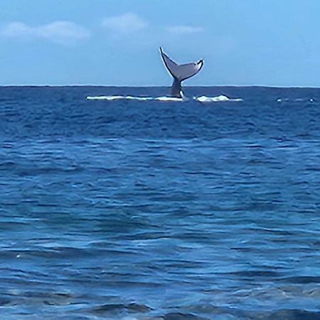 Moorea Temae Bungalow Lory Bord De Mer Exterior foto